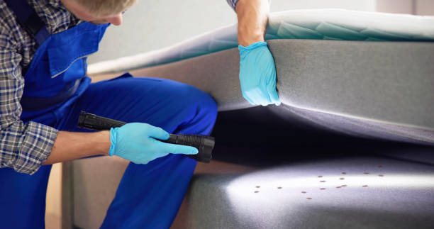 Pest Control Cost in Elkton, KY